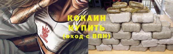 амф Пестово