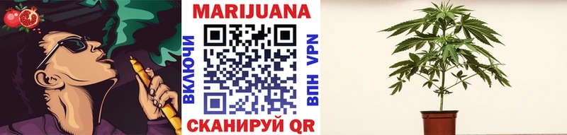 что такое   Кологрив  Шишки марихуана White Widow 